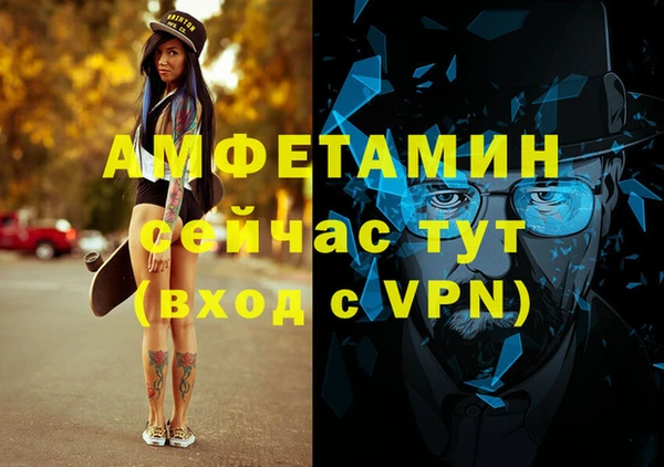 шишки Арсеньев