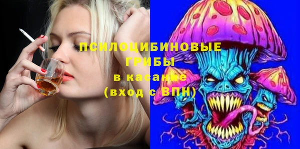 СК Алексин