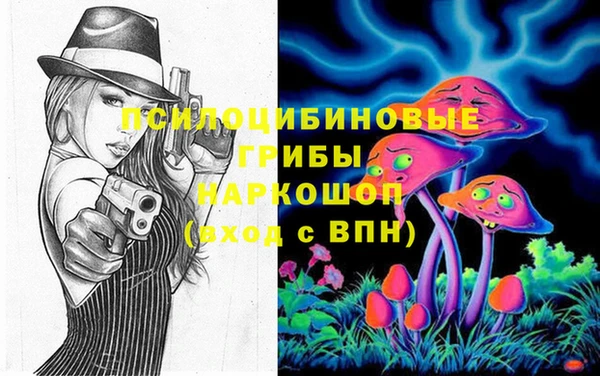СК Алексин