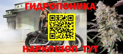 тгк Балаково