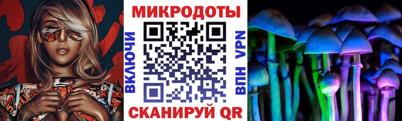 blacksprut tor даркнет официальный сайт Псилоцибиновые грибы мухоморы Астрахань