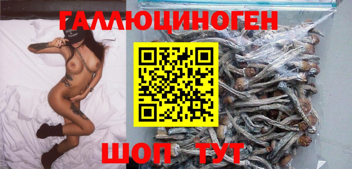Галлюциногенные грибы мухоморы Астрахань