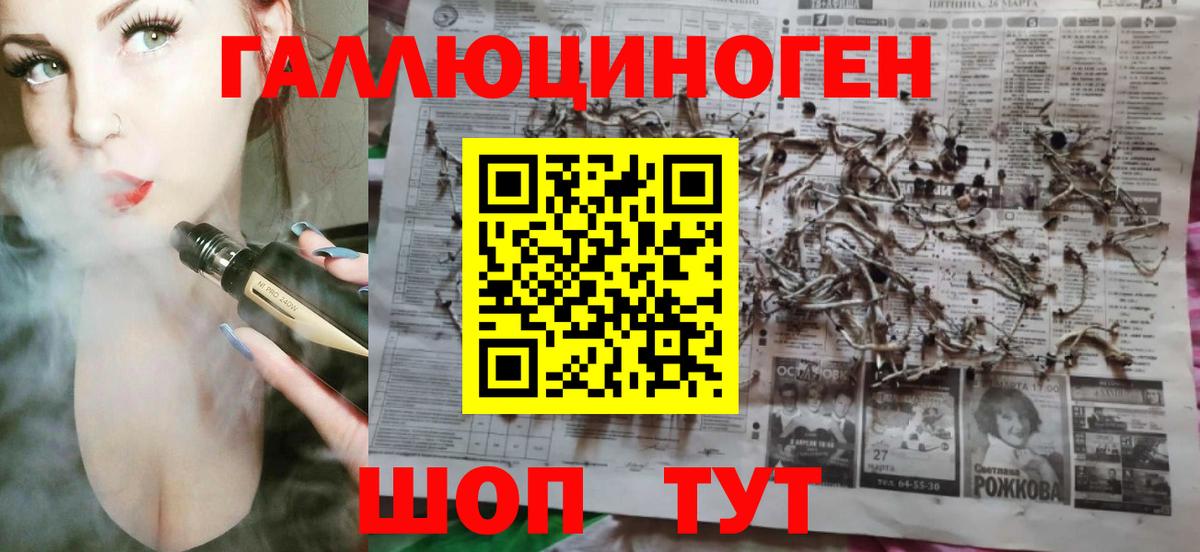 Псилоцибиновые грибы мухоморы  Вход с VPN  Астрахань  Псилоцибиновые грибы прущие грибы 