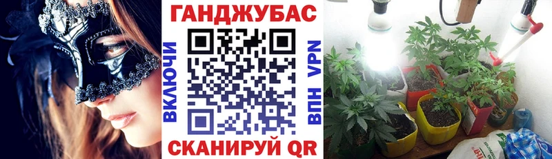 как найти закладки  Астрахань  OMG ссылки  Бошки марихуана план 